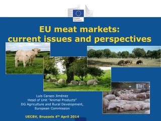 EU meat markets: current issues and perspectives