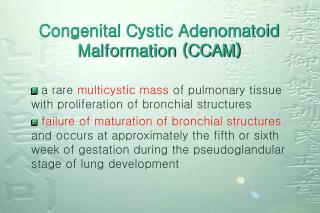 Congenital Cystic Adenomatoid Malformation (CCAM)