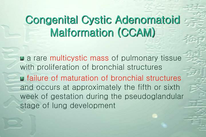 congenital cystic adenomatoid malformation ccam