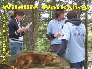 Wildlife Workshop