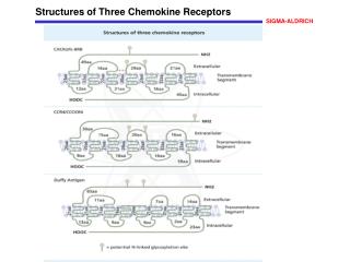 Structures of Three Chemokine Receptors