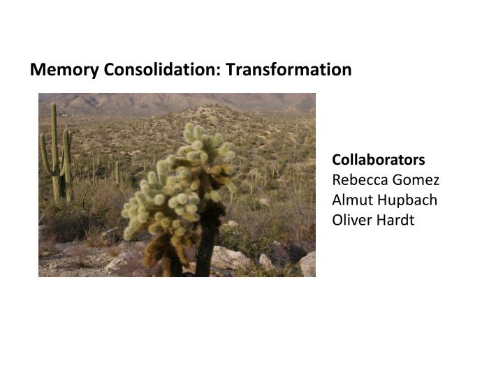 memory consolidation transformation