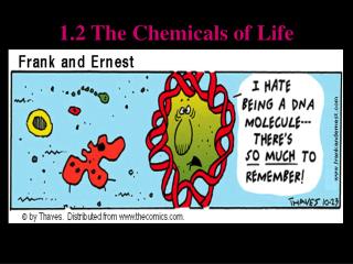1.2 The Chemicals of Life