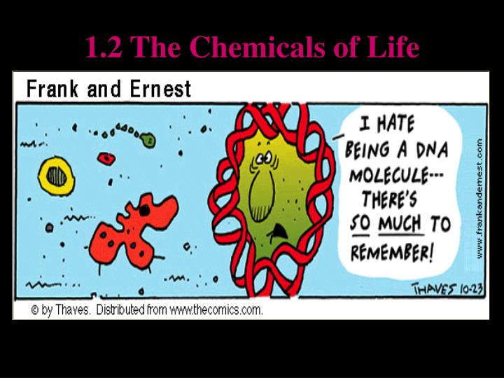 1 2 the chemicals of life