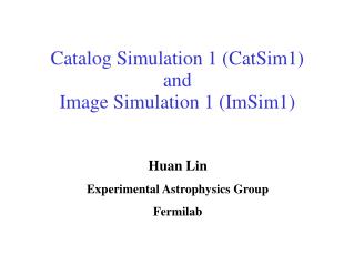 Catalog Simulation 1 (CatSim1) and Image Simulation 1 (ImSim1)