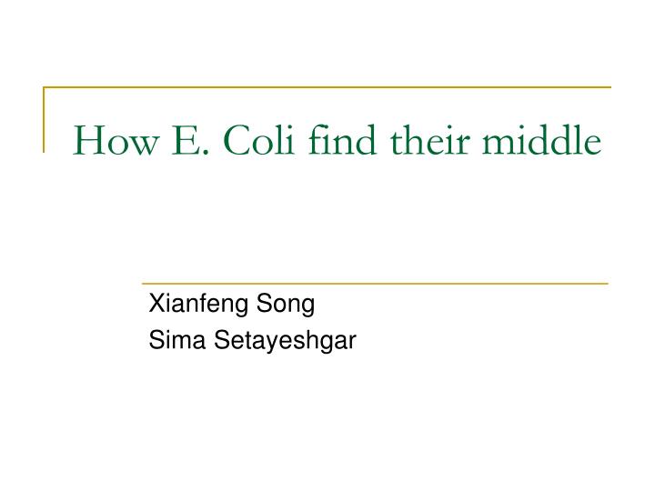 how e coli find their middle