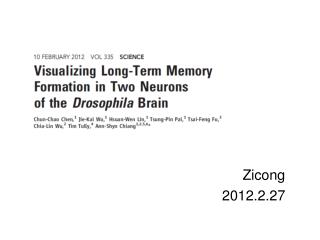 Zicong 2012.2.27