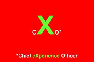 C X O* *Chief eXperience Officer