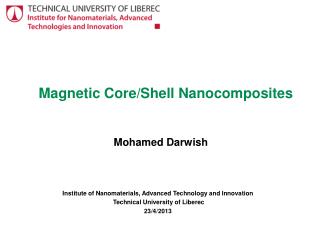 Magnetic Core/Shell Nanocomposites