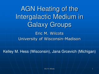 AGN Heating of the Intergalactic Medium in Galaxy Groups