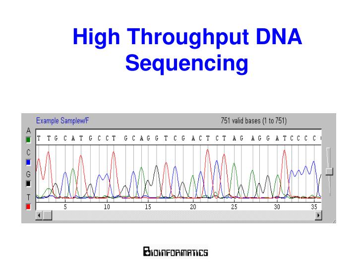 high throughput dna sequencing