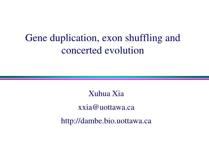 gene duplication exon shuffling and concerted evolution