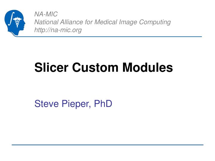 slicer custom modules