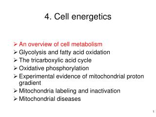 4. Cell energetics