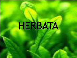 herbata