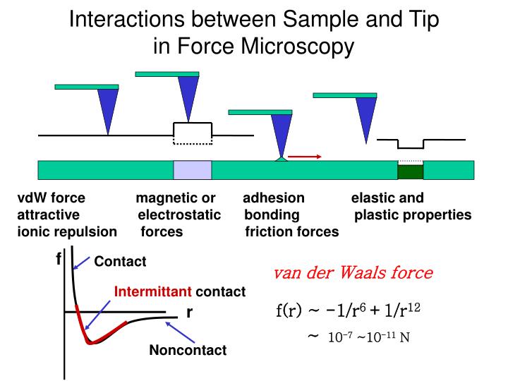 interactions between sample and tip in force microscopy