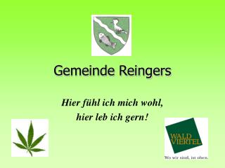 gemeinde reingers