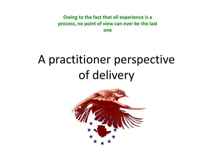 a practitioner perspective of delivery