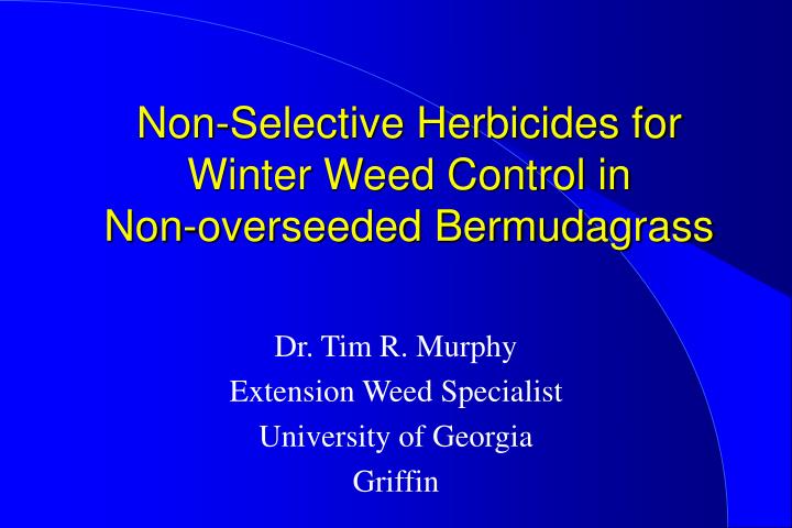 non selective herbicides for winter weed control in non overseeded bermudagrass