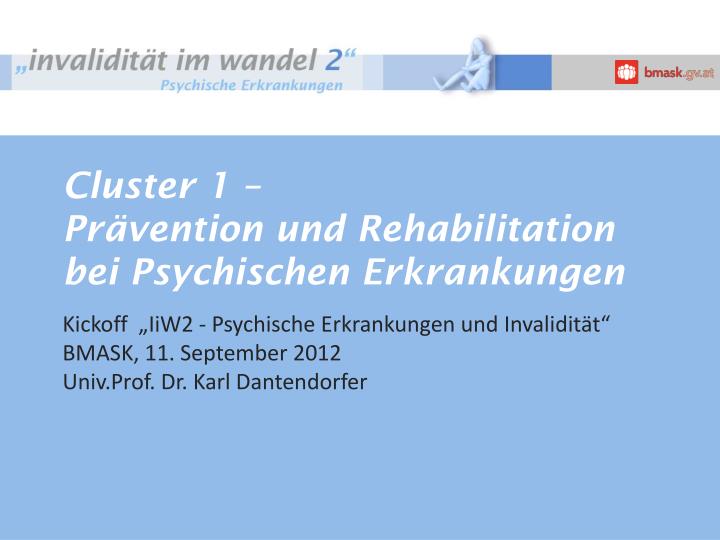 cluster 1 pr vention und rehabilitation bei psychischen erkrankungen