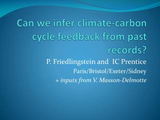 Can we infer climate-carbon cycle feedback from past records?