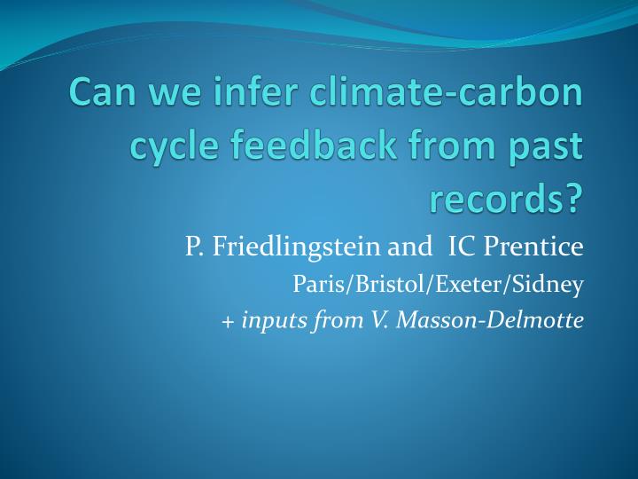 can we infer climate carbon cycle feedback from past records