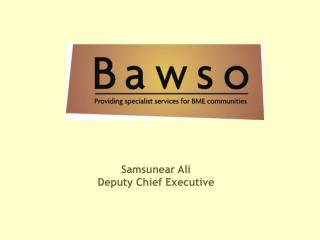 Samsunear Ali Deputy Chief Executive