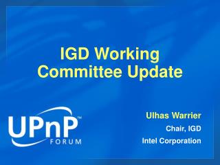 IGD Working Committee Update