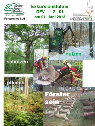 exkursionsf hrer dfv z 01 am 01 juni 2013