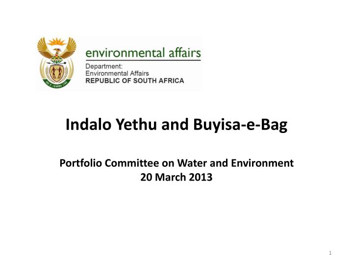 indalo yethu and buyisa e bag portfolio committee on water and environment 20 march 2013