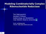 Modeling Combinatorially Complex Ribonucleotide Reductase - slide 1