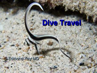 Dive Travel