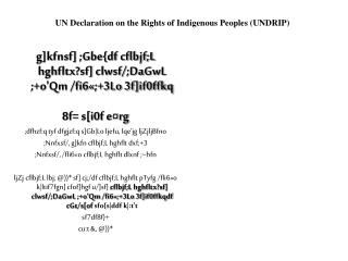 UN Declaration on the Rights of Indigenous Peoples (UNDRIP)