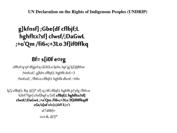 un declaration on the rights of indigenous peoples undrip