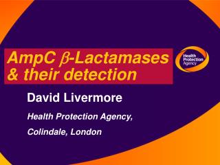 AmpC b -Lactamases &amp; their detection
