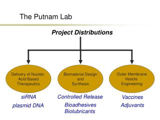 The Putnam Lab