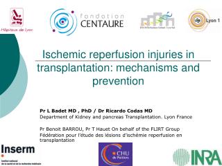 Ischemic reperfusion injuries in transplantation: mechanisms and prevention