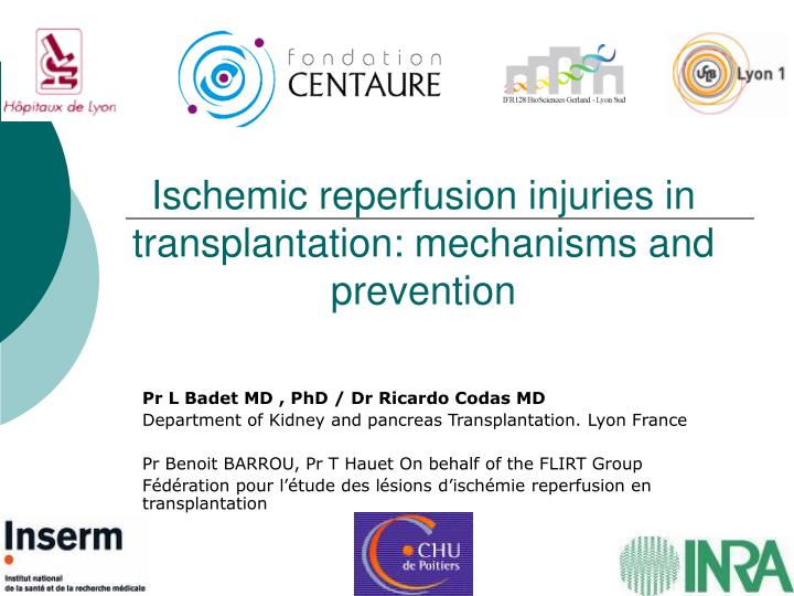 ischemic reperfusion injuries in transplantation mechanisms and prevention