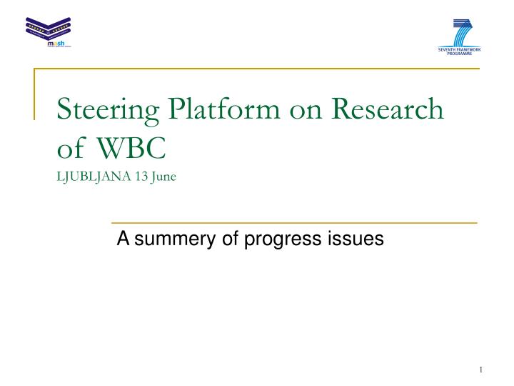 steering platform on research of wbc ljubljana 13 june