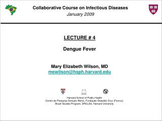 LECTURE # 4 Dengue Fever Mary Elizabeth Wilson, MD mewilson@hsph.harvard