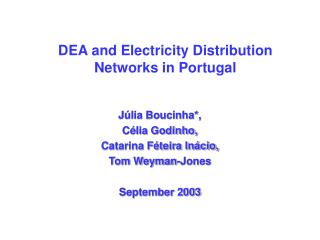 DEA and Electricity Distribution Networks in Portugal