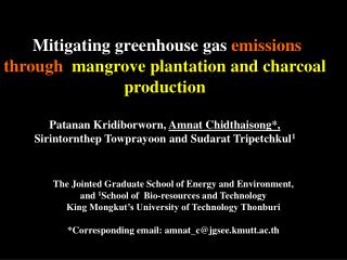 Mitigating greenhouse gas emissions through mangrove plantation and charcoal production