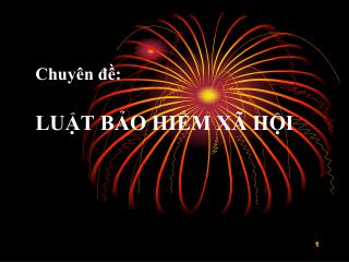 chuy n lu t b o hi m x h i