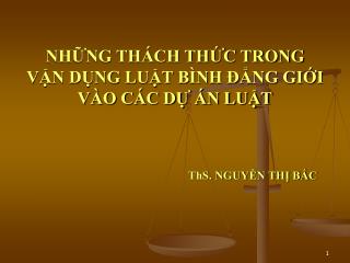 nh ng th ch th c trong v n d ng lu t b nh ng gi i v o c c d n lu t ths nguy n th b c