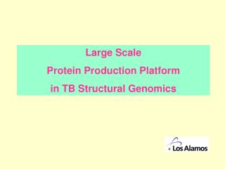 Large Scale Protein Production Platform in TB Structural Genomics