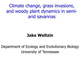 Climate change, grass invasions, and woody plant dynamics in semi- arid savannas