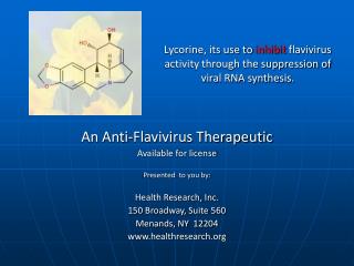 Lycorine, its use to inhibit flavivirus activity through the suppression of viral RNA synthesis.