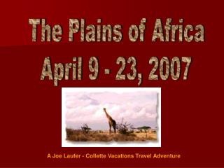 The Plains of Africa April 9 - 23, 2007