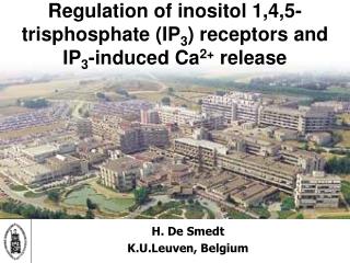Regulation of inositol 1,4,5- trisphosphate (IP 3 ) receptors and IP 3 -induced Ca 2+ release