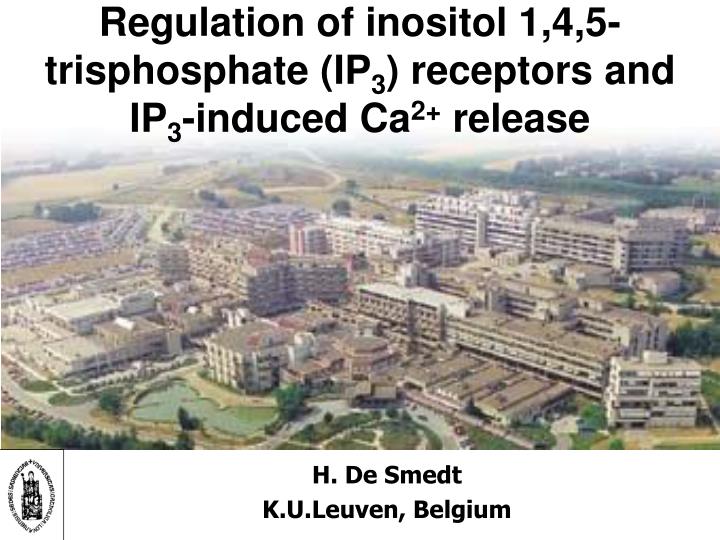 regulation of inositol 1 4 5 trisphosphate ip 3 receptors and ip 3 induced ca 2 release